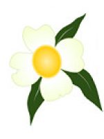 Na Uyana