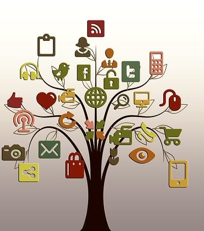 social media boast