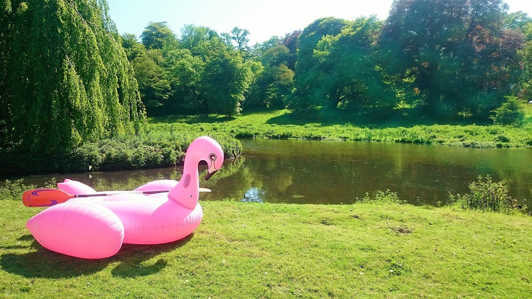 A pink inflatable flamingo beside the lake in a photograph published by Burning Nest.
