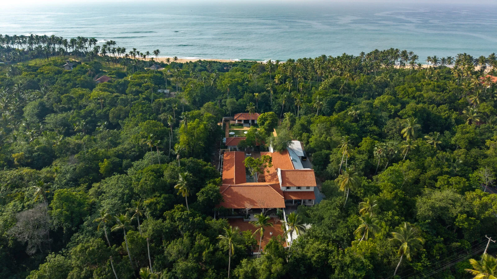 Rekawa Wellness Resort surrounded by palms near Sri Lanka’s southern coast.